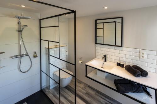 a bathroom with a shower and a sink and a toilet at LE MANOIR DE LA VALETTE in Florennes