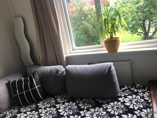 a couch with pillows in front of a window at Grefsen/Central Oslo in Oslo