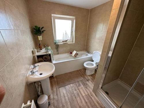 a bathroom with a sink and a toilet and a shower at Sea view @ Colliers Pwll in Burry Port