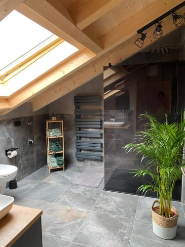 a bathroom with a skylight and a plant at Ferienwohnung Ferchensee in Mittenwald