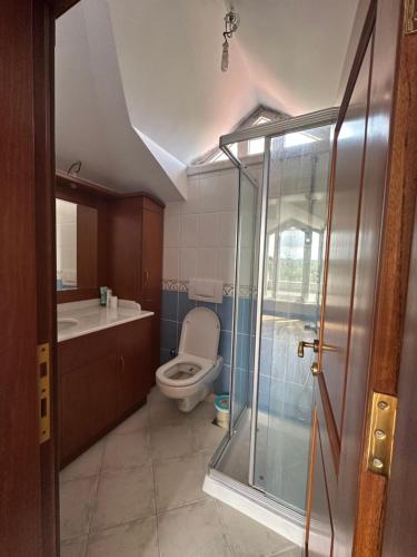 La salle de bains est pourvue de toilettes et d'une douche en verre. dans l'établissement Mert villa, à Sarıyer