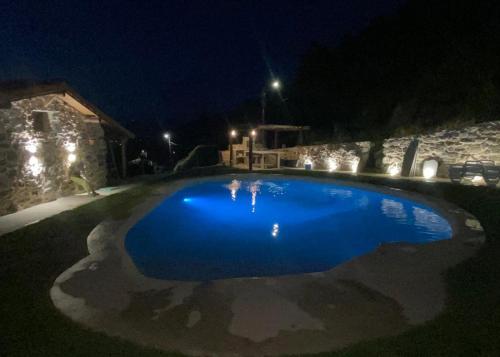 a large blue swimming pool in a yard at night at Casa Rosmaninho - Izei in Chaves