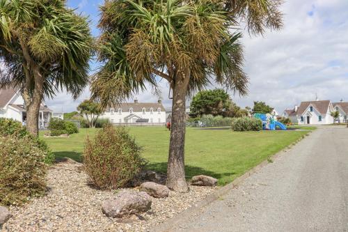 a palm tree on the side of a road at Sandeel Bay in Fethard on Sea