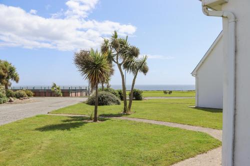 a group of palm trees on the side of a road at Sandeel Bay in Fethard on Sea