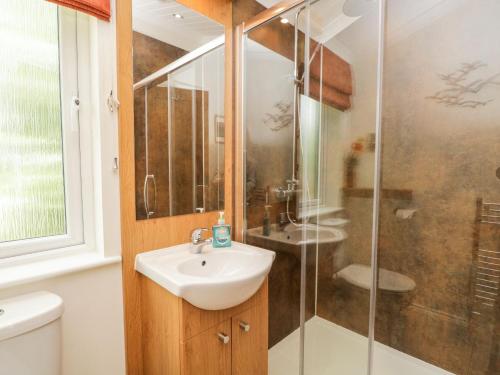 格蘭奇奧沃桑茨的住宿－Pippin Lodge，一间带水槽和淋浴的浴室