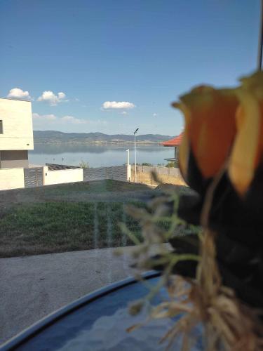 a person is looking out of a window at the water at Villa Twins Dojran in Nov Dojran