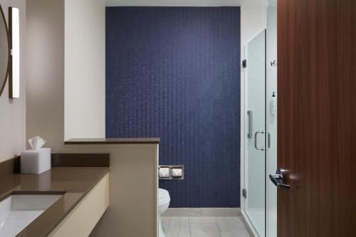 ein Bad mit einem WC und einer blauen Wand in der Unterkunft Fairfield by Marriott Inn & Suites Middletown in Middletown