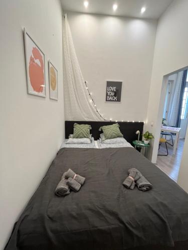 D58 Delux Apartments in the city center