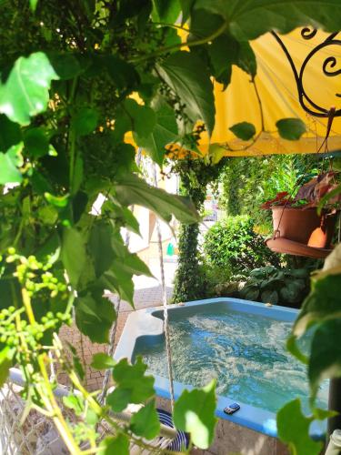 a swimming pool in the middle of a garden at Villa Paris in Hisarya