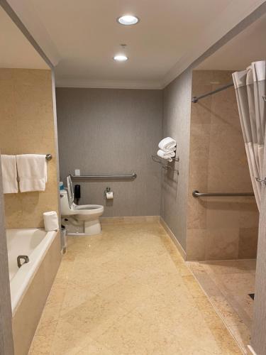 uma casa de banho com um WC, um lavatório e um chuveiro em The Atlantic Hotel & Spa Condo em Fort Lauderdale
