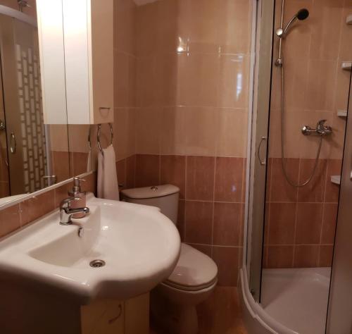 uma casa de banho com um lavatório, um WC e um chuveiro em Villa Kula em Bajagić