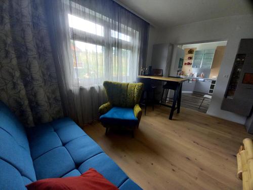 a living room with a blue couch and a window at Riccis 47m2 bamboo flat in Grosspertholz