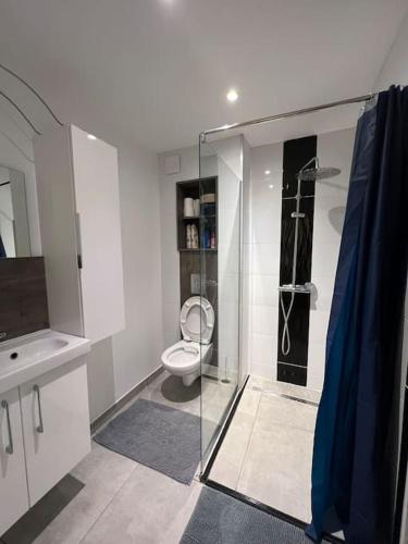 une salle de bain avec toilettes et douche en verre dans l'établissement T3 au coeur d'une villa moderne, à Fréjus