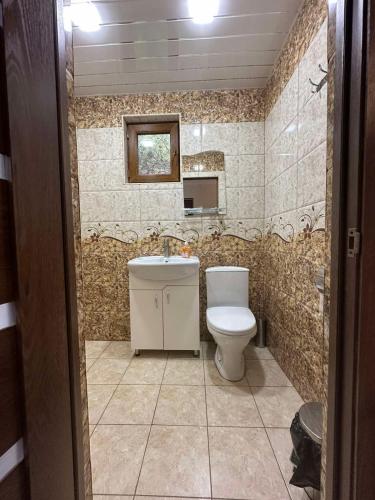 a bathroom with a toilet and a sink at Sochiner Hotel in Vanadzor