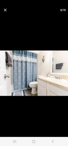 a bathroom with a blue shower curtain and a toilet at Mallard in Jacksonville
