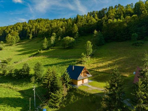 an aerial view of a small cabin in a green field at Domek w Górach in Piwniczna-Zdroj