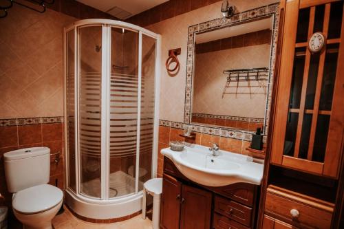 W łazience znajduje się prysznic, toaleta i umywalka. w obiekcie Conde de la Encina 16 w mieście Trujillo