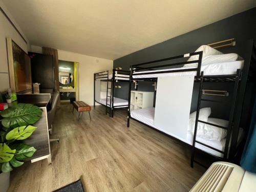 a dorm room with three bunk beds in it at Bposhtels Houston in Houston
