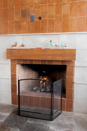 three birds perched on top of a fireplace at Casa de lujo, hasta con cine privado in San Miguel de Allende