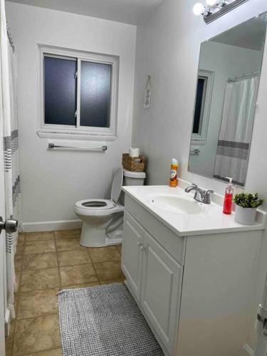a bathroom with a sink and a toilet and a mirror at Cozy Bungalow in Madison Heights in Madison Heights