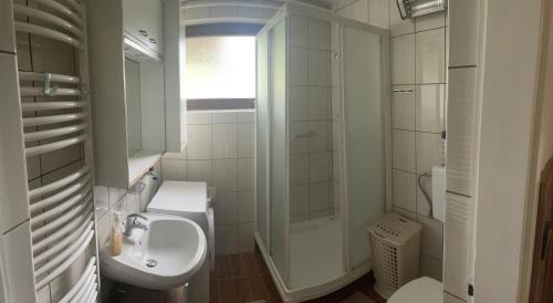 A bathroom at Apartma Šohen