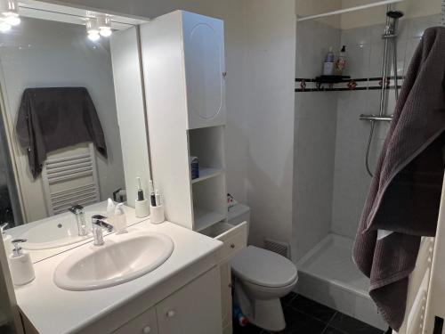 bagno bianco con lavandino e servizi igienici di Appartement F2 a Longjumeau