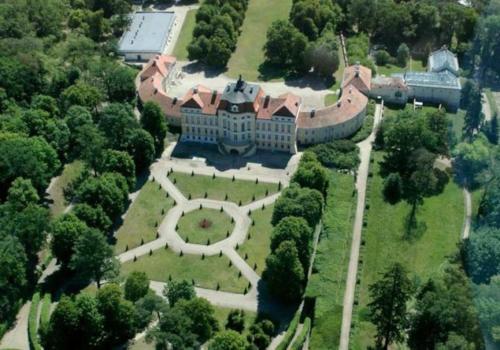 una vista aérea de una casa grande con árboles en BIAŁY DOMEK w Puszczykowie, en Puszczykowo