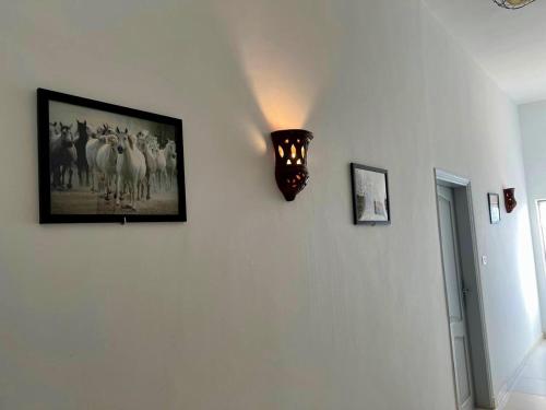 Φωτογραφία από το άλμπουμ του Moon House of Luxor στο Λούξορ