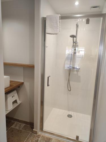 une douche avec une porte vitrée dans une salle de bain dans l'établissement Studio 30m2 La Cave - Les Gîtes du Lac - Proche Nantes, à La Chevrolière