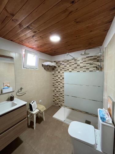 a bathroom with a white toilet and a sink at Casa Canaria Tradicional Rosalía in Los Silos