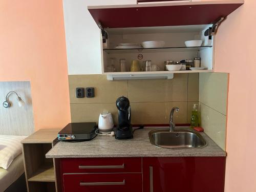 uma cozinha com um lavatório e uma bancada em Rezidence Davids Apartments em Praga
