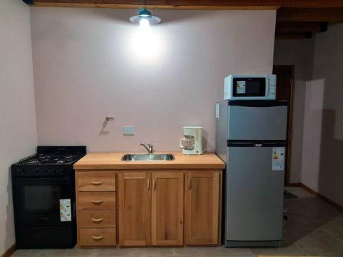 a kitchen with a sink and a microwave on a refrigerator at Cabaña en Villa Los Coihues in San Carlos de Bariloche