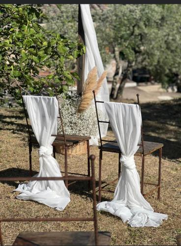two chairs and a table with a veil over them at LOCANDA PODERE LE VIGNE in Radda in Chianti