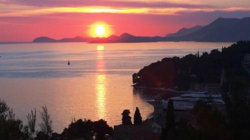 Apartments Red Coral Cavtat