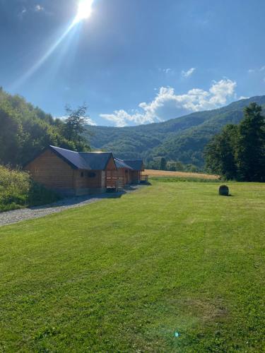 Příroda nedaleko apartmánu