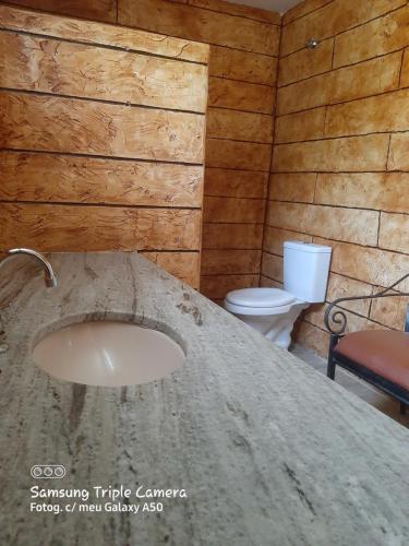 a bathroom with a sink and a toilet at Chacara Samambaia in Piracicaba