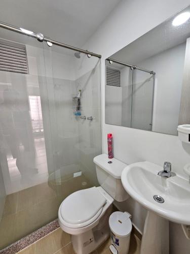 a bathroom with a toilet and a sink and a shower at Apartamento comfortable, Carmen De Apicala Tolima/Col in Carmen de Apicalá