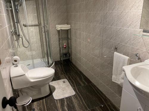 W łazience znajduje się prysznic, toaleta i umywalka. w obiekcie Alojamiento Los Nogales w mieście Santa Cruz