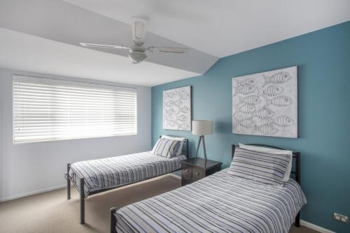 two beds in a room with blue walls at Beach Road in Mollymook