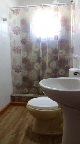 a bathroom with a toilet and a shower curtain at Hilda Roga in Posadas