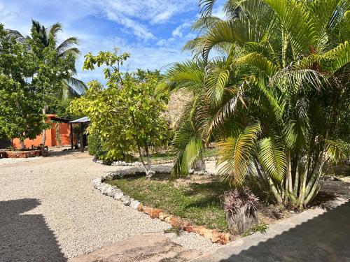 a street with palm trees on the side of a road at Hotel Bacalar Sunshine in Bacalar