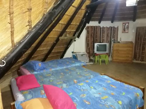 a bedroom with a bed and a tv in a attic at Anchor Aweigh Chalet 86 in Hibberdene