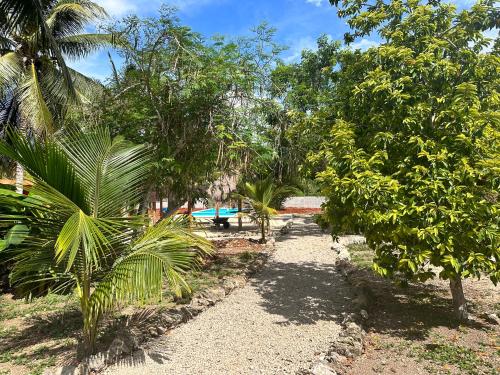 a path in the middle of a forest with trees at Hotel Bacalar Sunshine in Bacalar