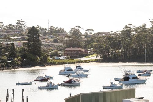 a group of boats sitting in the water at Harbour Sunrise in Ulladulla