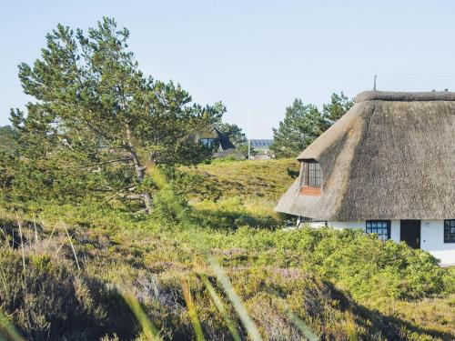 a thatch roofed house on top of a hill at Uhlenhof-E in Kampen