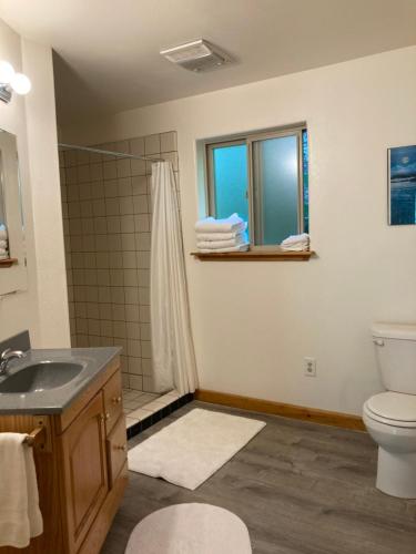 uma casa de banho com um lavatório, um chuveiro e um WC. em Beach Roadhouse em Haines