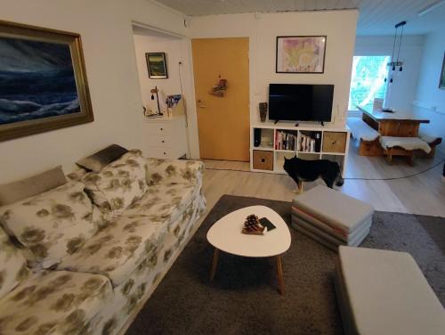una sala de estar con sofá y un gato. en Maggala apartments en Utsjoki