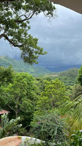 a view of a forest of trees and the ocean at Villa La Fortuna Altos del Maria in Filipina