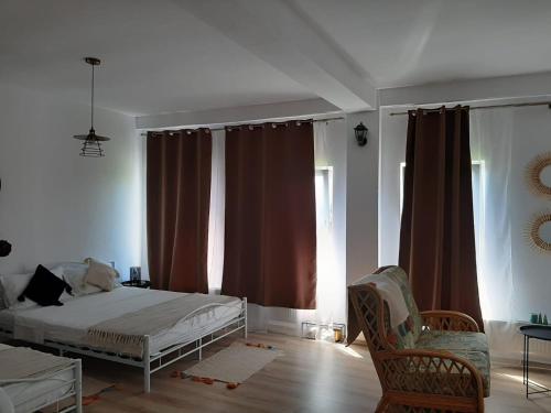 1 dormitorio con 1 cama, 1 silla y ventanas en Tina Guest House en Basarabi