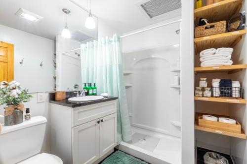 a bathroom with a shower and a toilet and a sink at Modern Century Loft At The Pillars in Cleveland